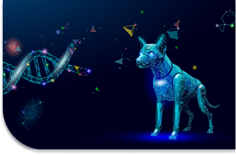 The Storytellers of Science – Bringing Medical Innovation to Life