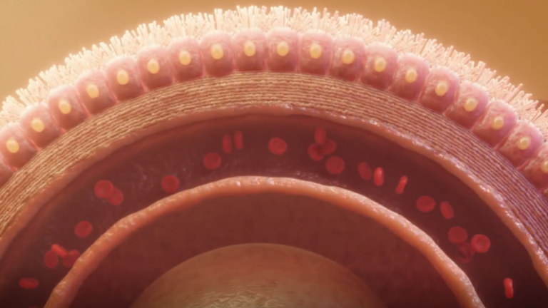 Who Develops Interactive Educational Videos for Pharmaceutical Product Training?